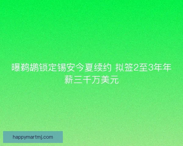 曝鹈鹕锁定锡安今夏续约 拟签2至3年年薪三千万美元