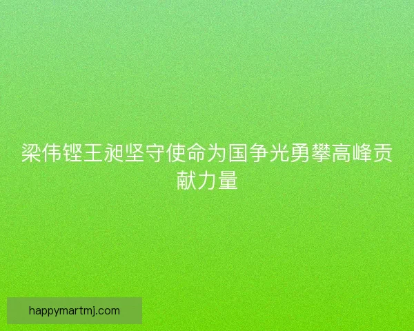 梁伟铿王昶坚守使命为国争光勇攀高峰贡献力量