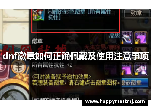 dnf徽章如何正确佩戴及使用注意事项