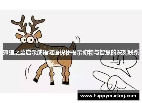 狐狸之墓启示成语谜语探秘揭示动物与智慧的深刻联系